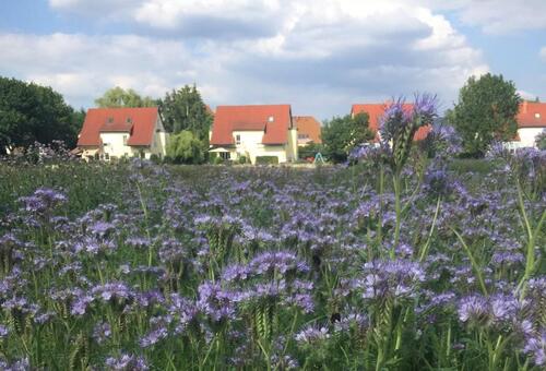 Foto - 5 Zimmer Doppelhaushälfte in Dresden