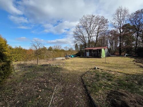 Foto - Kleingarten zur Pacht Kastanienweg mit Waldblick Fürstenwalde