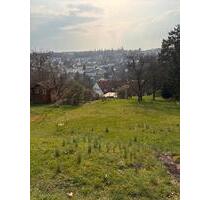 Charmante 1-Zimmer Wohnung mit Terrasse für Erstbezug - Esslingen am Neckar Hegensberg