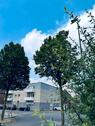 Foto - Provisionsfreie 2-Zimmer-Wohnung mit Balkon in Moers