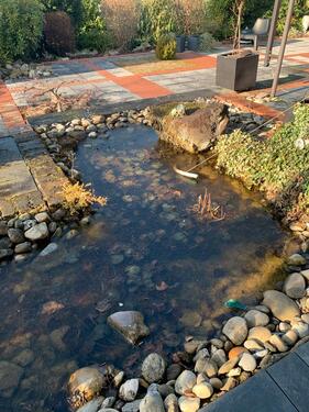 Foto - 5 Zimmer Bungalow in Lahnstein