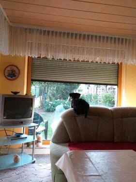 Foto - Grundst&uuml;ck in Gerbstedt zur Miete