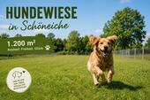 Foto - Wiese Freifläche, eingezäunt, Hundeauslauf & Freizeitgestaltung