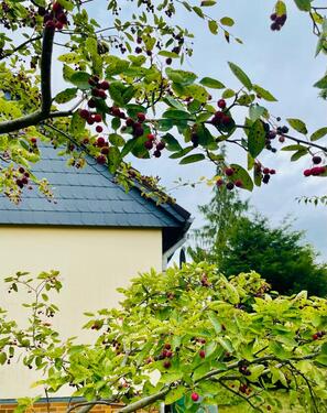 Foto - Einfamilienhaus mit Einliegerwohnung und großem Garten
