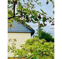 Einfamilienhaus mit Einliegerwohnung und großem Garten - Bad Sachsa