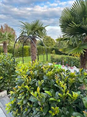 Foto - Gartengrundstücke zu Verpachten Gräselberg Biebrich