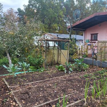 Foto - Kleingarten am Badesee Ströbitz