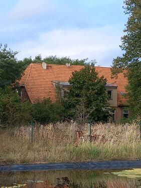 Foto - Einfamilienhaus in Crivitz zum Kaufen
