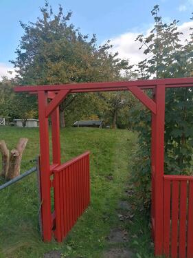 Foto - Schrebergarten günstig abzugeben