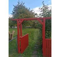 Schrebergarten günstig abzugeben - Flensburg Altstadt