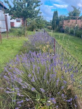 Foto - Grundst&uuml;ck in Rostock
