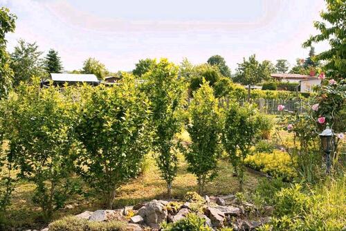 Foto - Grundst&uuml;ck in Röderland zur Miete