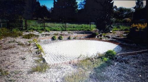 Foto - Gartengrundstück Immenhausen Holzhausen