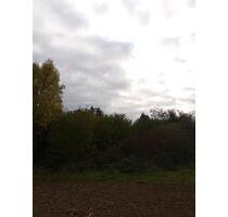 Freizeit Grundstück, Wald Wiese, Obstbaum Grundstück etc - Zweibrücken