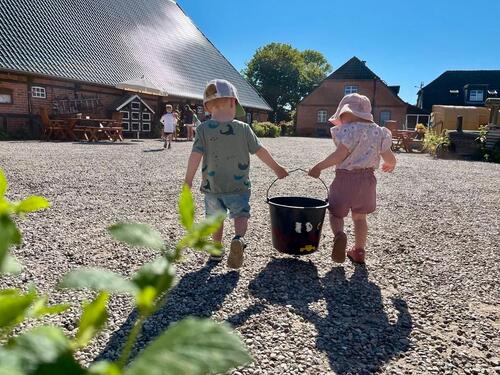 Foto - Urlaub auf Bauernhof,Strand,Ostsee,Fehmarn,Ferienwohnung,Kinder