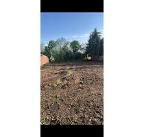 Baugrundstück in Poley - 30.000,00&nbsp;EUR Kaufpreis, ca.&nbsp; 785,00&nbsp;m&sup2; in Nienburg (Saale) (PLZ: 06429)