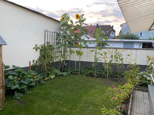 Foto - Einfamilienhaus in Hanau