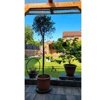 Solides Reihenhaus in Schwarmstedt zu verkaufen