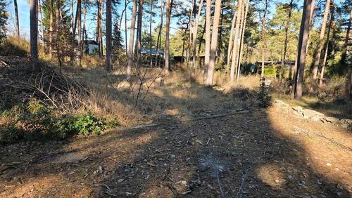 Foto - Fundament auf Pachtgrundstück in Gommern, Waldgrundstück, 780qm