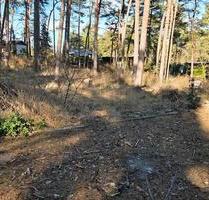 Fundament auf Pachtgrundstück in Gommern, Waldgrundstück, 780qm