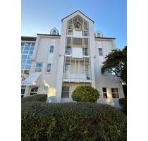 Hochwertige 1-Zimmer-Wohnung mit sonniger Terrasse & Tiefgaragen- - Mainz Ebersheim