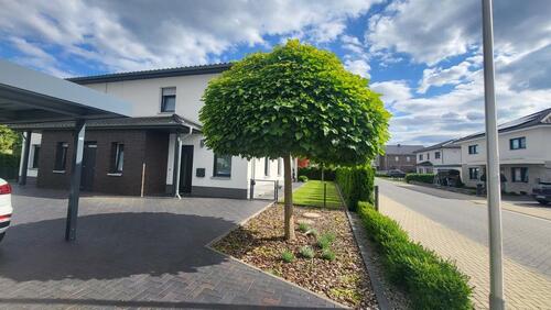 Foto - 5 Zimmer Einfamilienhaus zur Miete in Wolfsburg