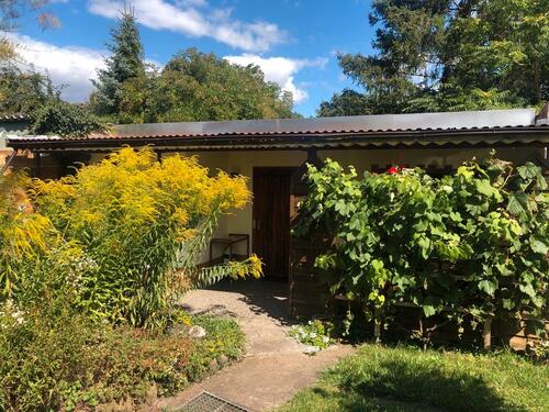 Foto - Grundst&uuml;ck in Sömmerda