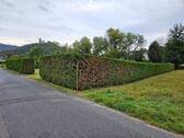 Foto - Großer Garten zu verpachten - 150,00 EUR Kaltmiete, ca.  0,00 m²