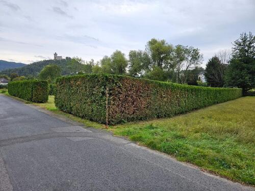 Foto - Großer Garten zu verpachten - 150,00 EUR Kaltmiete, ca.  0,00 m²