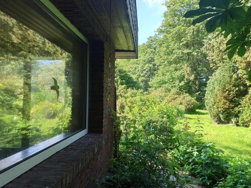 Foto - Einfamilienhaus zum Kaufen in Tasdorf