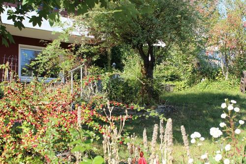 Foto - Einfamilienhaus in Elze