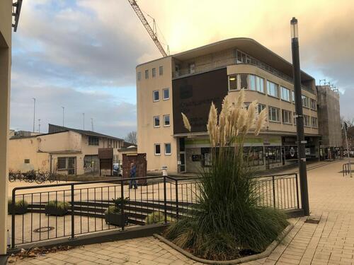 Foto - andere in Bornheim