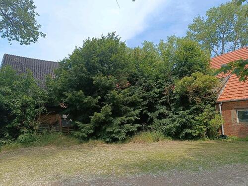 Foto - 4 Zimmer Bauernhaus, Landhaus zum Kaufen in Domsühl
