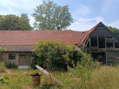 Foto - Bauernhaus, Landhaus in Domsühl zum Kaufen