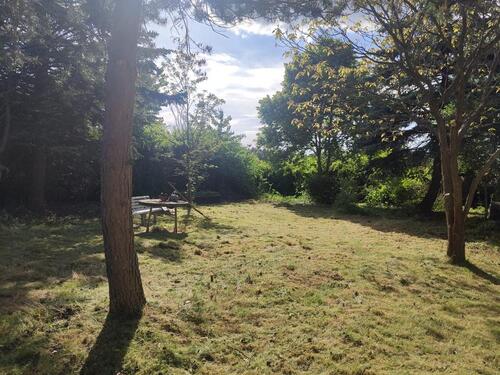 Foto - Garten Gartengrundstück in Radeberg zu vermieten