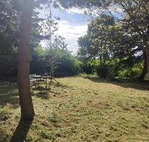 Garten Gartengrundstück in Radeberg zu vermieten