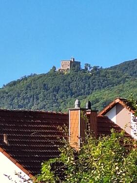 Foto - Traumhafte Wohnung mit Blick aufs Hambacher Schloss