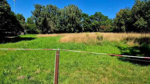 Foto - Weidefläche in Taucha zu verpachten
