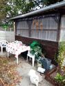 Foto - Kleingarten Pachtgarten. - 5.000,00 EUR Kaltmiete, ca.  0,00 m²