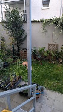 Foto - 2 Zimmer Etagenwohnung in Leipzig