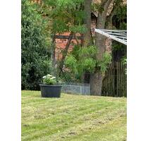 1 Zimmer mit Bad 20 qm - 250,00 EUR Kaltmiete, in Duderstadt (PLZ: 37115)