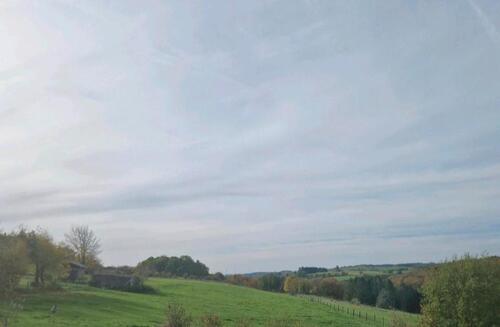 Foto - Weide Weideland Grünland 1 Hektar