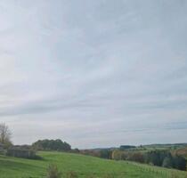 Weide Weideland Grünland 1 Hektar - Bad Münstereifel