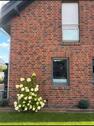 Foto - Einfamilienhaus zum Kaufen in Rehden