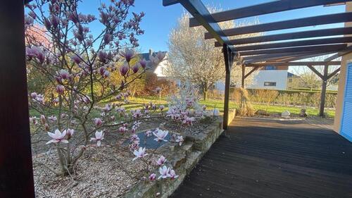 Foto - Etagenwohnung zur Miete in Pirna