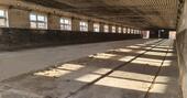 Foto - Halle in Randlage von 04509 Delitzsch zu vermieten
