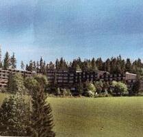 2 -Zimmer-Eigentumswohnung mit Balkon und Einzelgarage - Schonach Im Schwarzwald