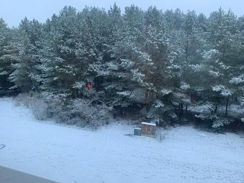 Foto - Etagenwohnung in Eberswalde zur Miete