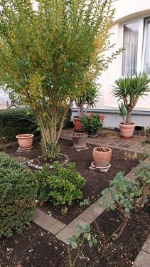 Foto - 3 Zimmer Etagenwohnung zur Miete in Eisenach