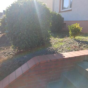 Foto - 2 Zimmer Etagenwohnung zur Miete in Bochum